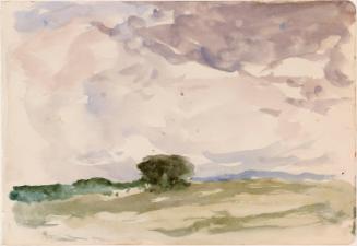 A Clump of Trees against the Sky