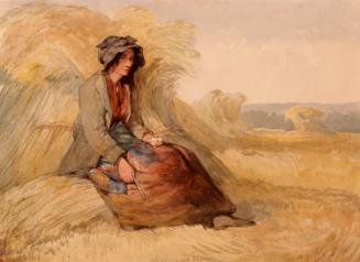 A Young Woman Resting in a Cornfield