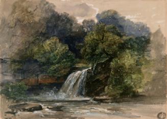 A Waterfall in a Wood
