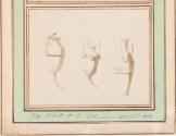 Three Antique Vases