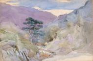 A Mountain Stream