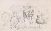 Cattle and Sheep