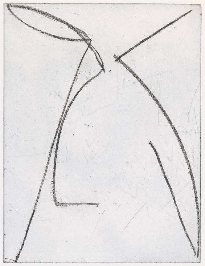 © Ciarán Lennon, IVARO Dublin, 2024
