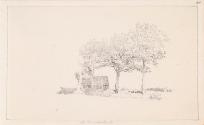 Trees on Hampstead Heath, London