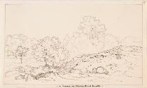 Hampstead Heath, London