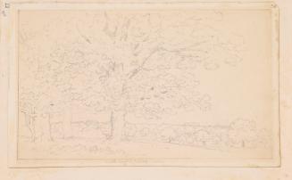 The North Front of Botleys House, Surrey