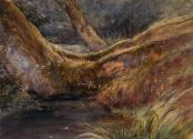 Ophelia's Pool