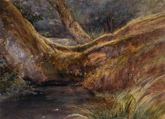 Ophelia's Pool