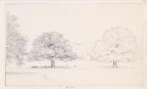 Oak Trees, Botleys House, Surrey