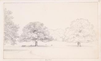 Oak Trees, Botleys House, Surrey