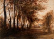 An Avenue beneath Trees