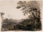 Trees above a Valley