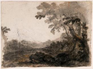 Trees above a Valley