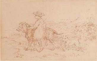 A Boy with two Dogs