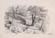 Trees in a Rocky Landscape