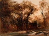 A River in a Wood