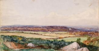 The View near Ticknock, County Dublin