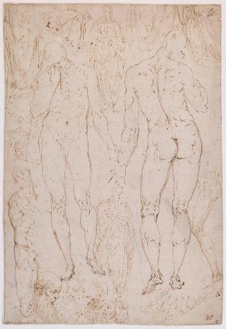 A Male Nude from Front and Rear, with Figure Studies