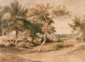 Near Redleaf, Kent