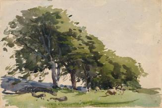 A Line of Windswept Beeches; Sheep beneath Trees (on verso)