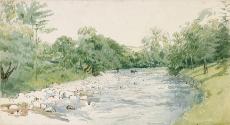 A Shallow River