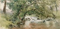Trees Overhanging a River