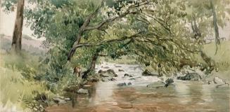 Trees Overhanging a River