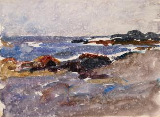 A Rocky Beach on a Rainy Day