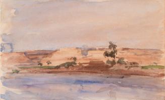 Palm Trees by the River Nile, Egypt