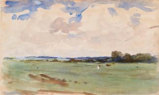 Pastures; Cows (on verso)
