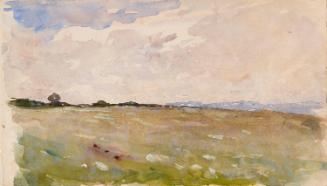Pastures at Malahide; Cows (on verso)