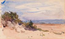 Grass on the Dunes