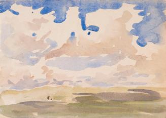 Pastures below a Cloudy Sky