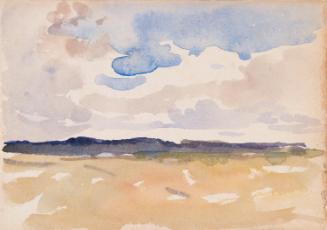 A Field and Distant Horizon