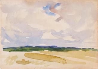 A Field and Distant Trees