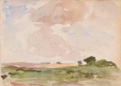 Pastures and a Wood
