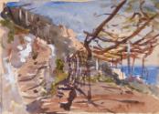 A Vine Pergola on Amalfi, Italy