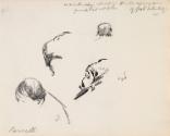Four Details of Charles Stewart Parnell