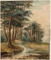 Trees by a Stream