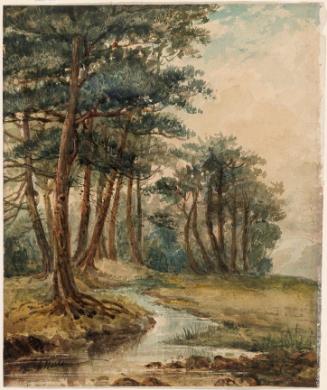 Trees by a Stream