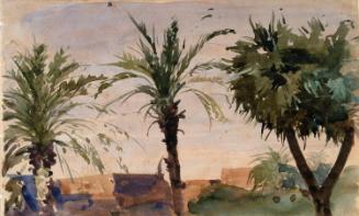 Palm Trees and Buildings, Egypt