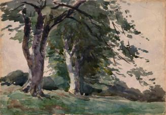 Two Trees in a Meadow