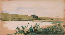Reeds in a River; Cows (on verso)