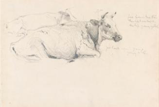 Cattle Resting; Hills (on verso)