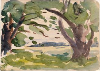 Trees against a Meadow