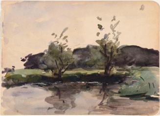 Two Willows over a Pool