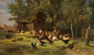 Poultry among Trees