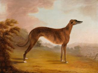 A Brindle Bitch in a Landscape (c.1839)