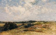 A Wicklow Common