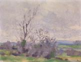 A Landscape
